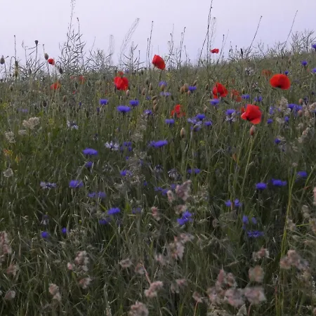 Mueritzbrise 1 Apartamento Ludorf